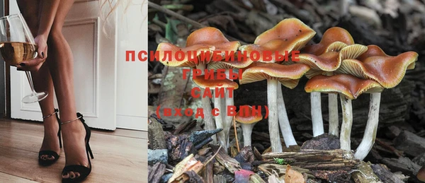 гидропоника Баксан
